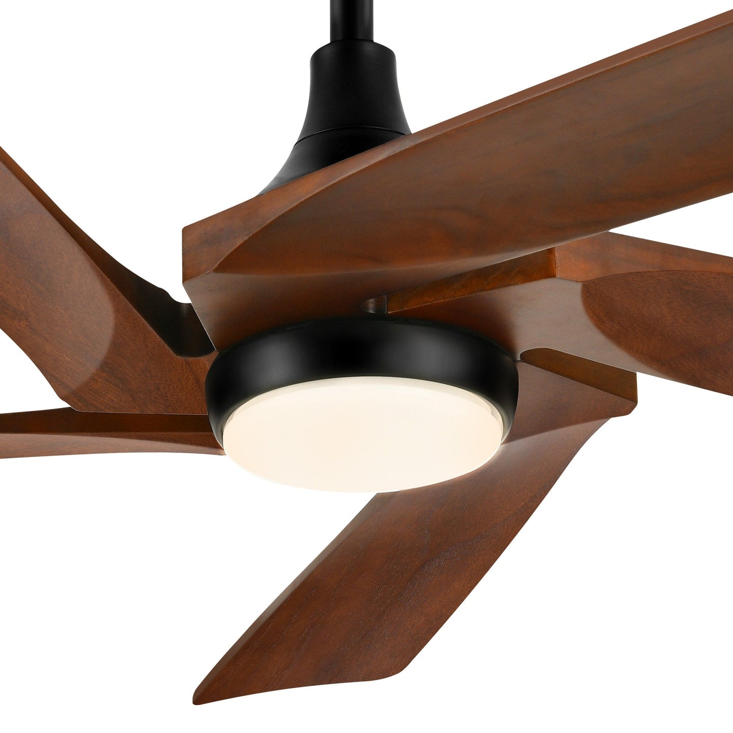 Moasis 52 Modern Remote Control Ceiling Fan with Lights and 5 Solid Wood Blades