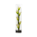 18 Calally Jaune