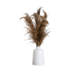 30 Desert Whisper - Pampas naturelles séchées dans un vase en céramique