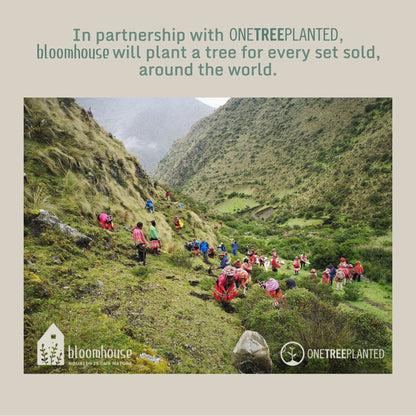 Bloomhouse Santorini Mist 16 Piece Double Bowl Terracotta Reactive Glaze Plates and Bowls Dinnerware Set