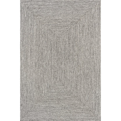 Nuloom Wynn Braided Indoor/Outdoor Area Rug