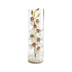 Orchidée à colonne dorée