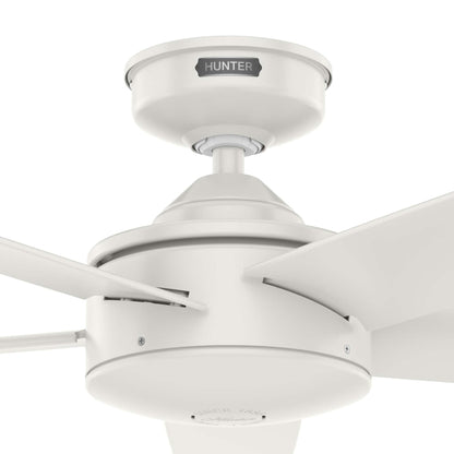 Ventilateur de plafond intérieur/extérieur Hunter 52 Shorebreak WeatherMax avec commande murale - Résistant aux intempéries, au sel et à la corrosion