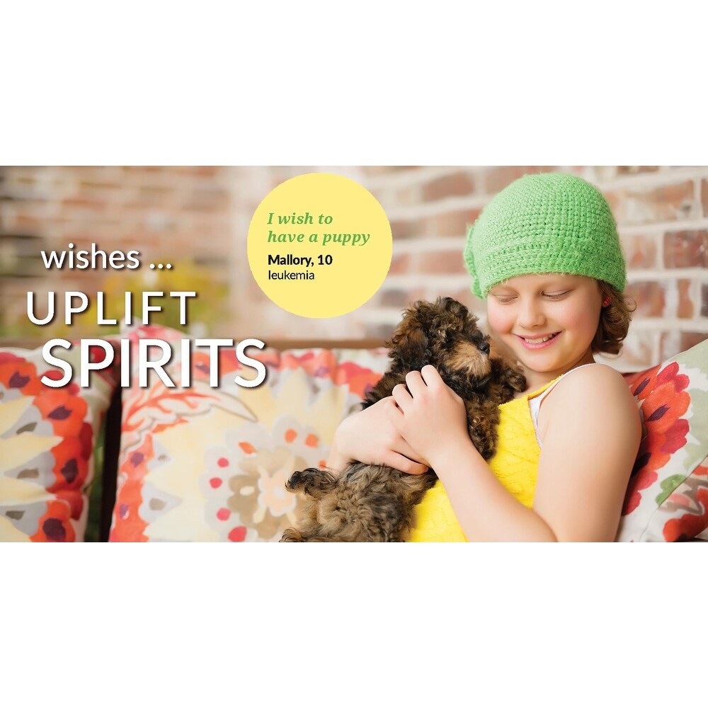 Lush Decor Southwest Llama Cactus Reversible Print Quilt Set