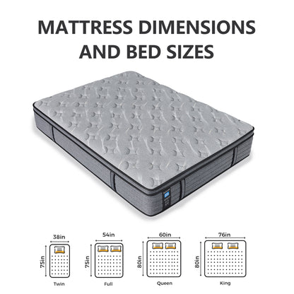 Matelas hybride Modland 14 pouces, plateau Euro - Mousse CertiPUR-US ignifuge pour soulager les maux de dos, lit simple/double/queen/king size