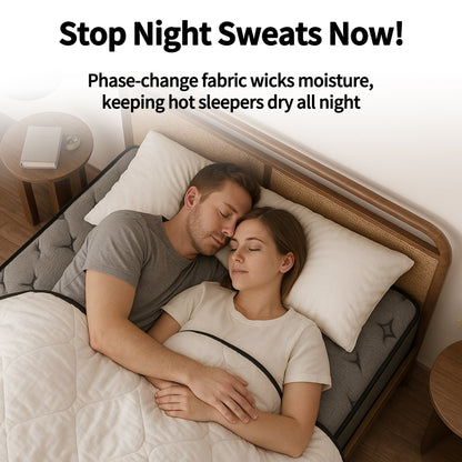 Matelas hybride Modland 14 pouces à plateau-coussin moyen, matelas à ressorts ensachés dans une boîte