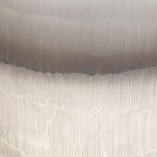 Vases ombrés
