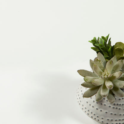 Porch &amp; Den Zoe Commode double à 6 tiroirs