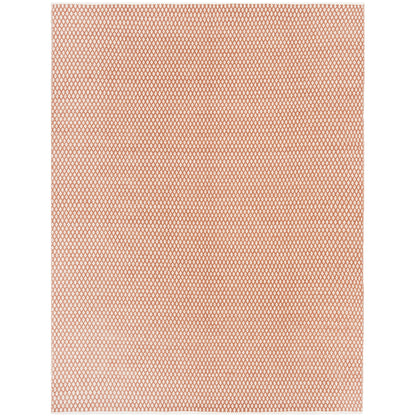 SAFAVIEH Handmade Boston Shirine Coastal Cotton Flatweave Rug