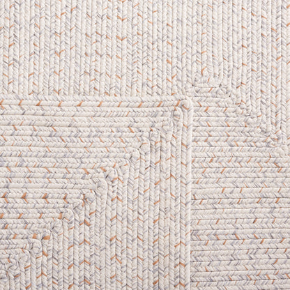 SAFAVIEH Handmade Braided Anthi Casual Rug