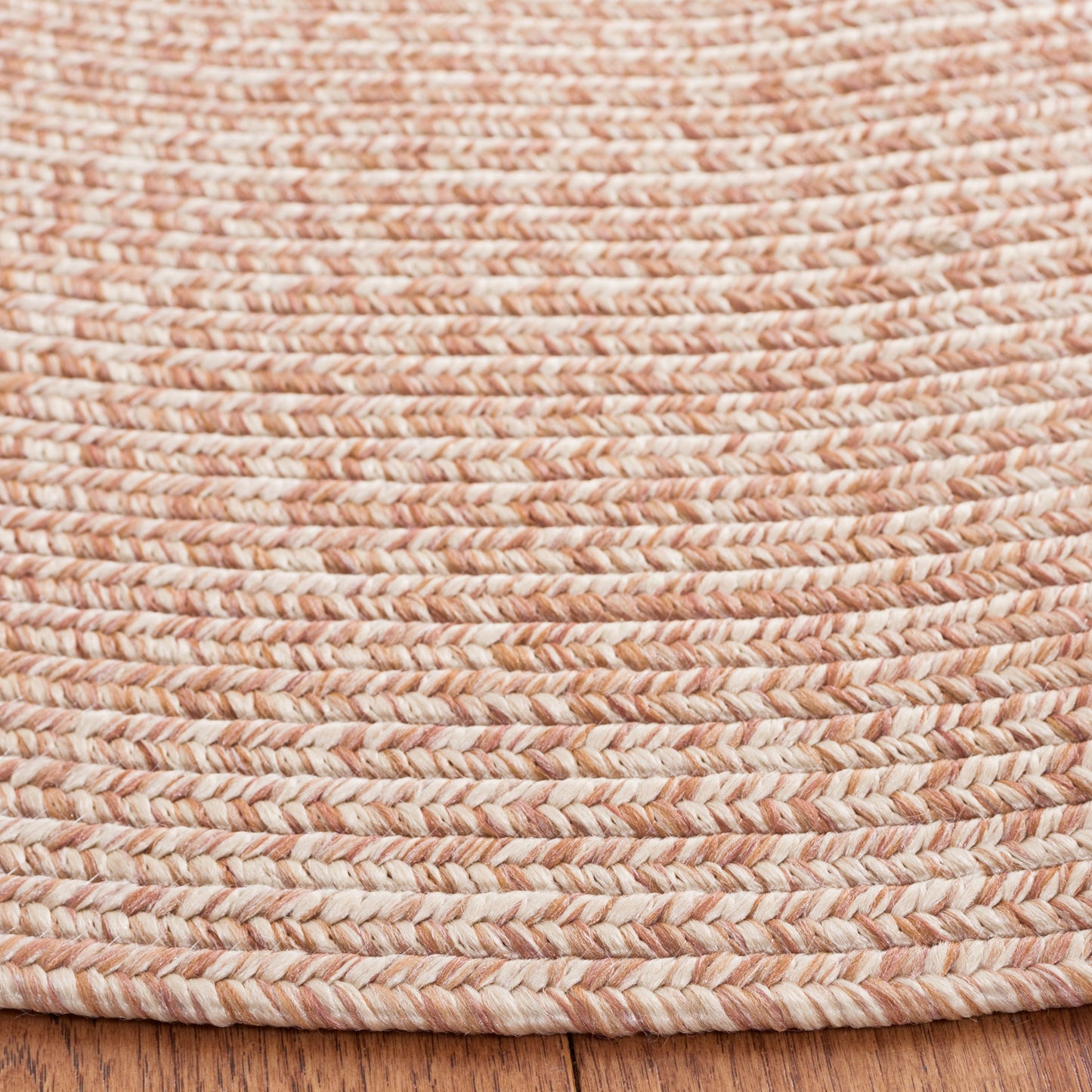 SAFAVIEH Handmade Braided Anthi Casual Rug