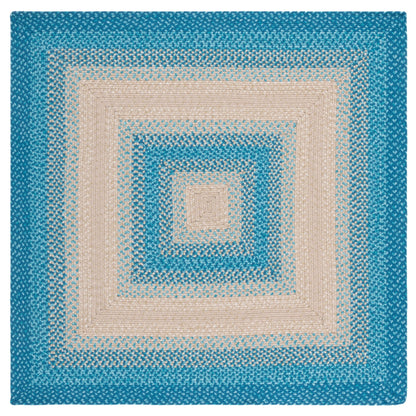 SAFAVIEH Handmade Braided Kita Country Rug