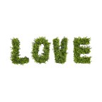 Amour verdoyant